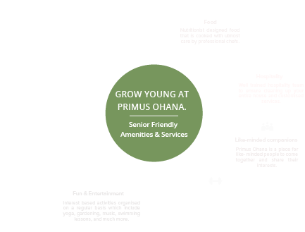 Mobile infographic showcasing features of Primus Ohana.