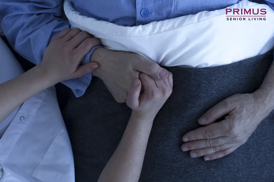 A Holistic Approach to Palliative Care in Assisted Living Centers for the Elderly