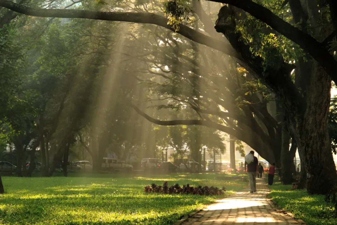 Blog banner for May on senior living insights