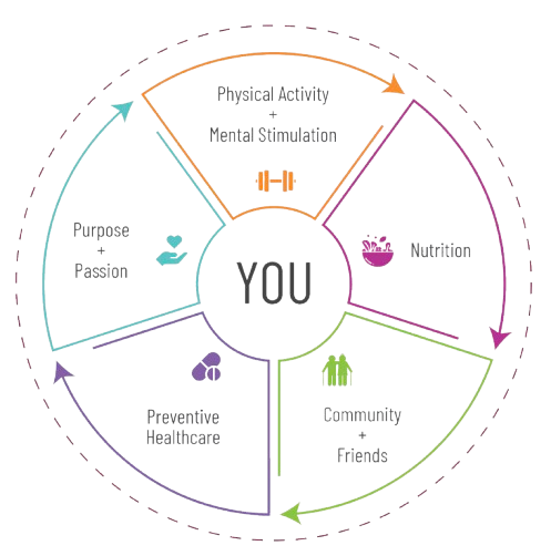 Blue Zone Living Diagram