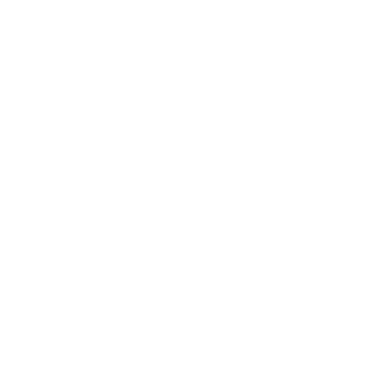 Grab Bars In toilet